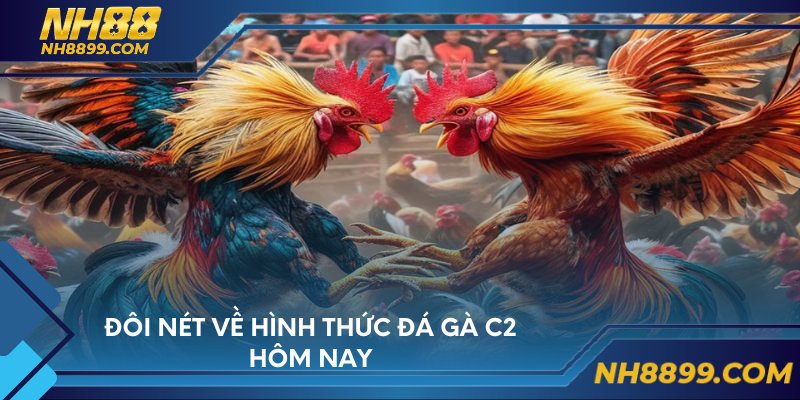 Đôi nét về hình thức đá gà c2 hôm nay